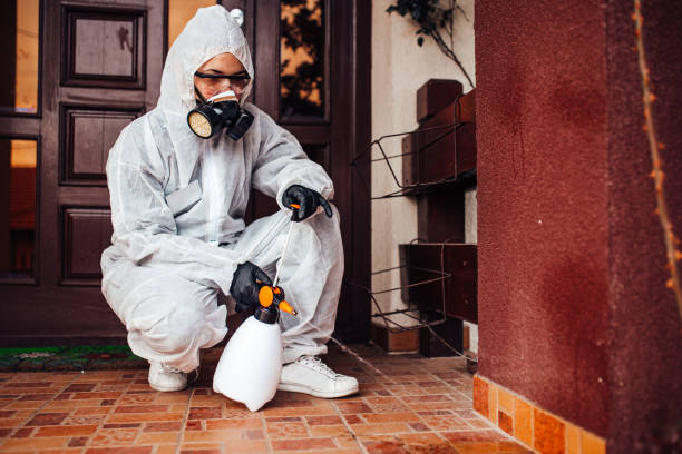 Reliable Ant Control contractor in Tuscumbia, AL by Show Me Pest Control
