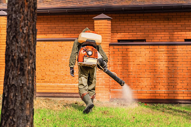 Top rated local Ant Control specialists in Tuscumbia, AL
